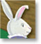 Bunnies