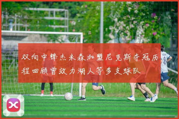 双向中锋杰米森加盟尼克斯夺冠历程回顾曾效力湖人等多支球队
